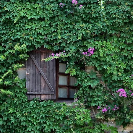 Holiday home By The Sea, Salt-water Pool, Near Athens *